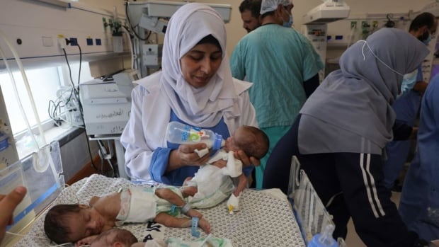 Untimely infants evacuated from Al-Shifa Hospital, well being officers say