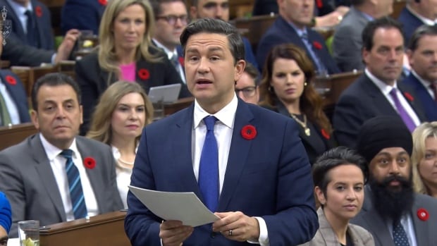 Liberals go surfing to check messages attacking Poilievre’s document
