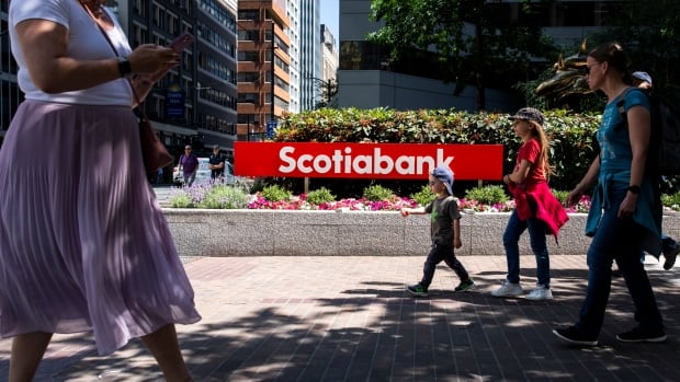 Scotiabank revenue falls as financial institution units apart virtually $1.3B to cowl unhealthy loans
