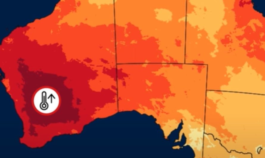 Western Australia swelters by record-breaking Spring as nation faces hotter, drier Summer time
