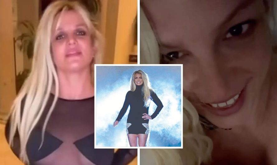 Britney Spears confirms fan’s ‘suspicions that one thing’s occurring’ are ‘proper’: ‘Appears to be like are deceiving’