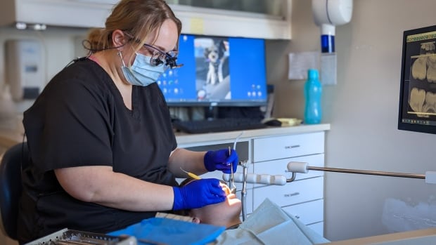 Federal dental insurance coverage program to be phased in beginning Might 2024, authorities officers say