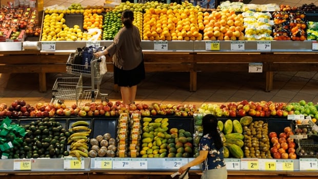 Canada’s grocery sector among the many best on Earth, claims Sobeys CEO