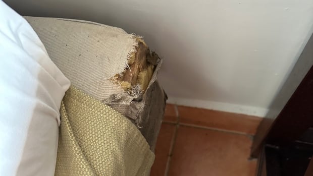 Vacationers trying to find solutions after discovering chewed mattress, lacking bathroom seats at resort