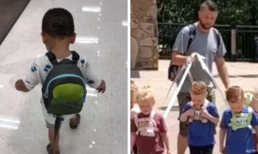 Parenting debate: Mum ridiculed for utilizing backpack leash on toddler