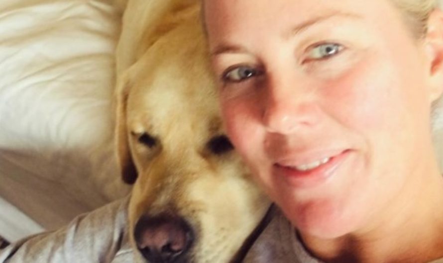 Samantha Armytage reveals her canine handed away after snake chunk