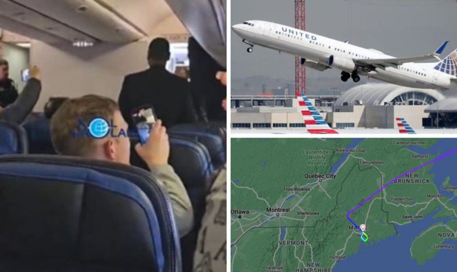 ‘Drunk, disruptive’ passengers aboard US-bound United Airways flight drive emergency touchdown